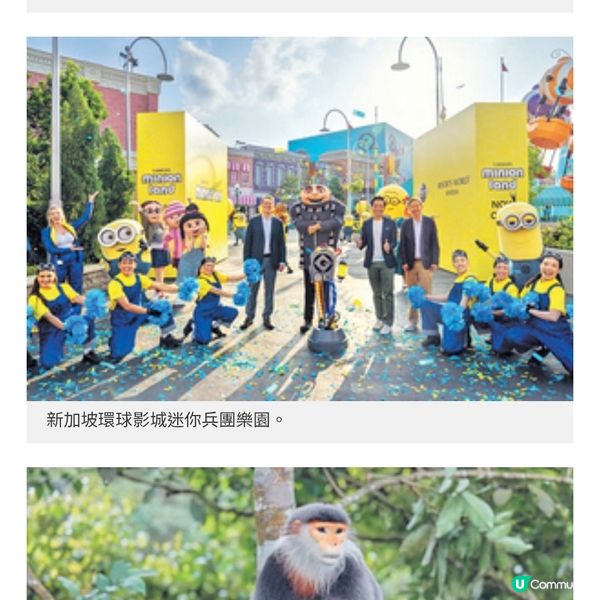 COLLAR新加坡食買玩攻略必食星級肉骨茶體驗室內懸浮飛行