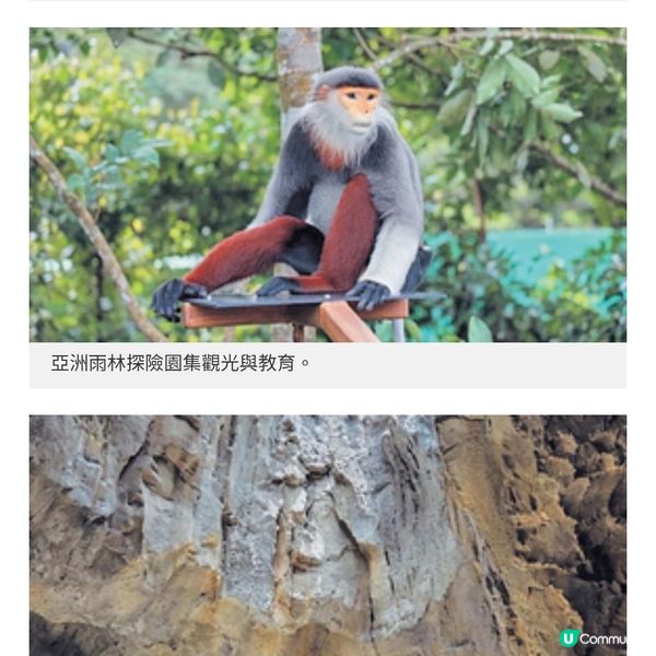 COLLAR新加坡食買玩攻略必食星級肉骨茶體驗室內懸浮飛行