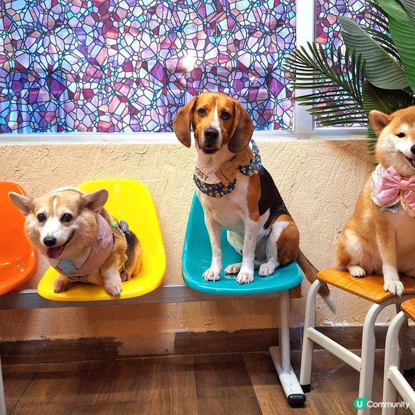 1.  觀塘校園風甜品🤤！士多啤梨冰+炸雞🍔！😋 #觀