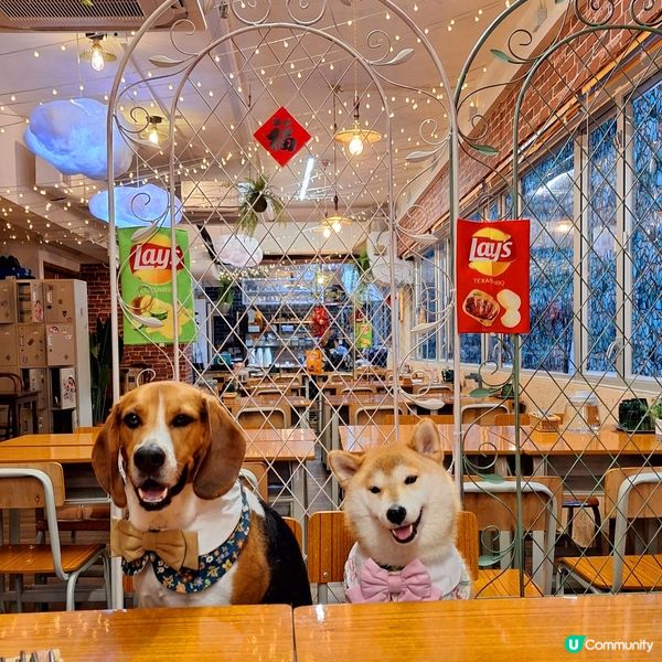 1.  觀塘校園風甜品🤤！士多啤梨冰+炸雞🍔！😋 #觀