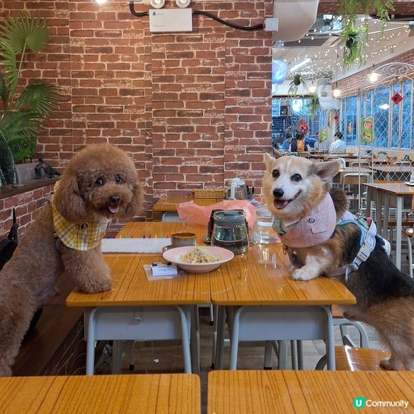 1.  觀塘校園風甜品🤤！士多啤梨冰+炸雞🍔！😋 #觀
