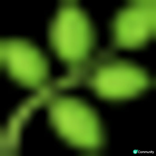 《🌿山林密語》環保展覽 - 限定活動推介！