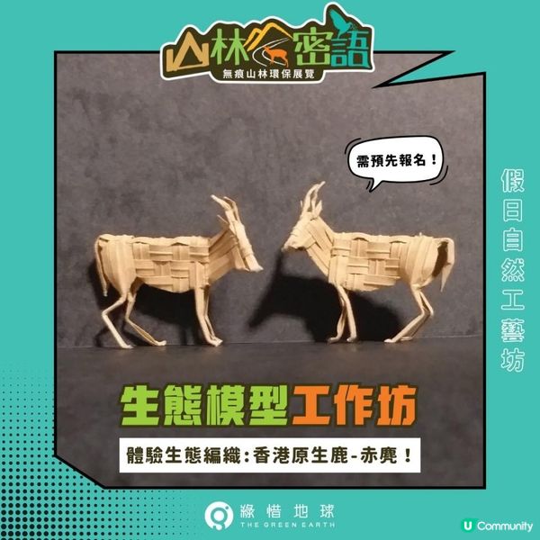 《🌿山林密語》環保展覽 - 限定活動推介！
