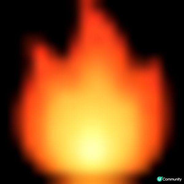 《🌿山林密語》環保展覽 - 限定活動推介！