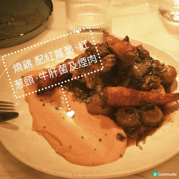 中環Gathering抵到爛之選 - Mr Wolf