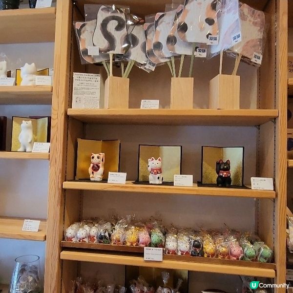 💟招財貓燒😻！東京必食可愛貓咪燒‼️😱