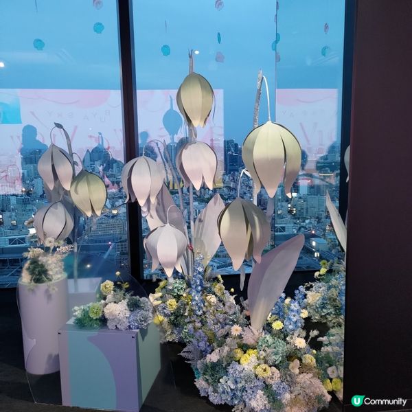 日本東京必睇日落夜景🌆澀谷Shibuya Sky打卡一流