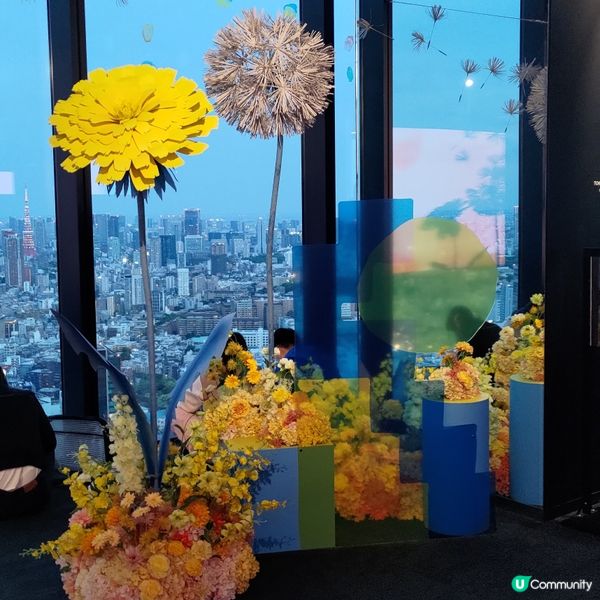 日本東京必睇日落夜景🌆澀谷Shibuya Sky打卡一流