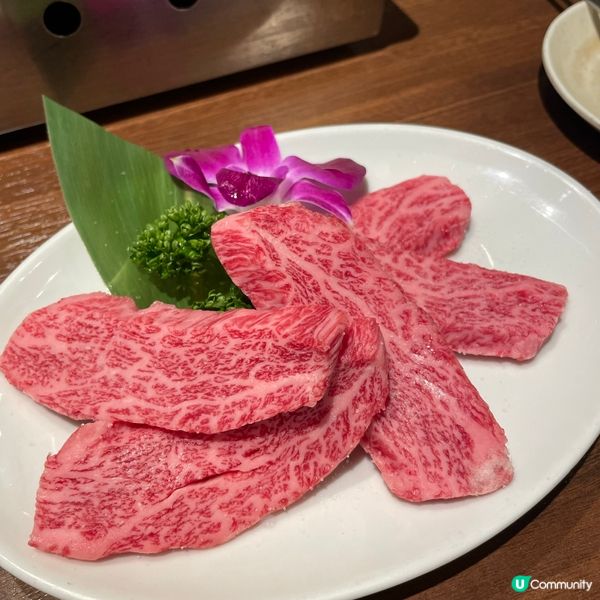 ✈️東京 。房家ホルモン館