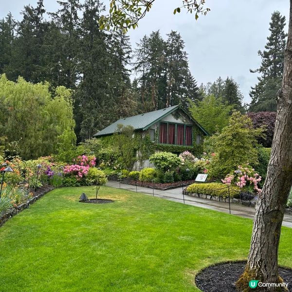 🇨🇦溫哥華賞花之旅🌸！布查德花園超夢幻😍！