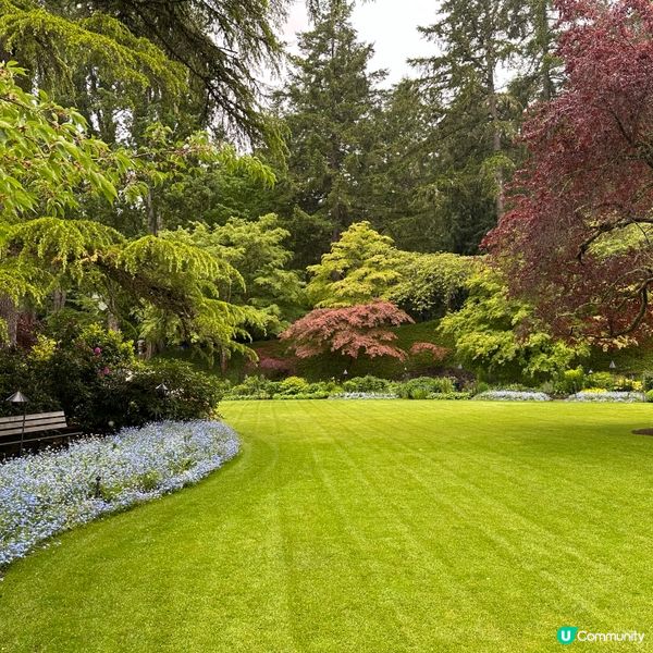 🇨🇦溫哥華賞花之旅🌸！布查德花園超夢幻😍！