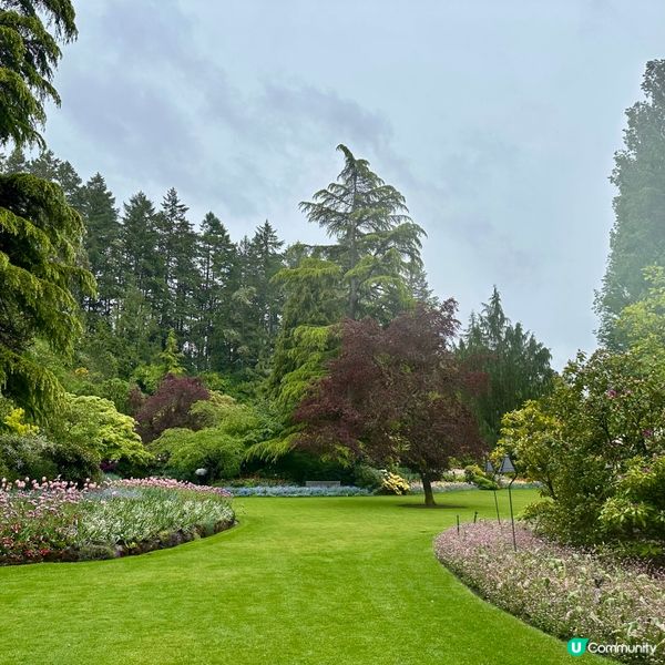 🇨🇦溫哥華賞花之旅🌸！布查德花園超夢幻😍！