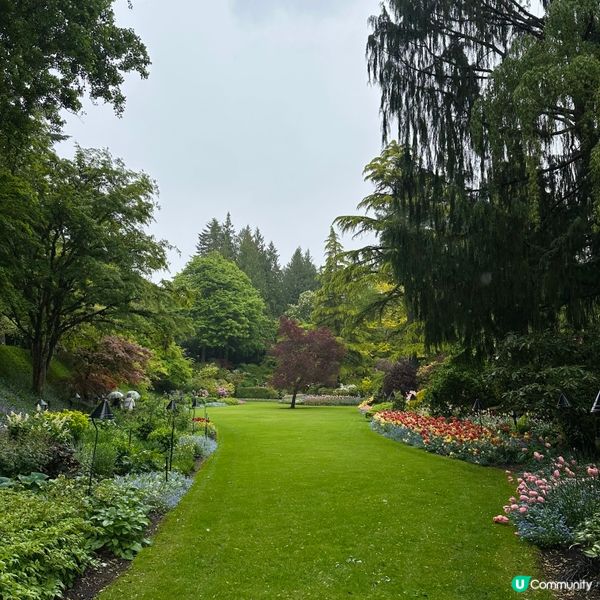 🇨🇦溫哥華賞花之旅🌸！布查德花園超夢幻😍！