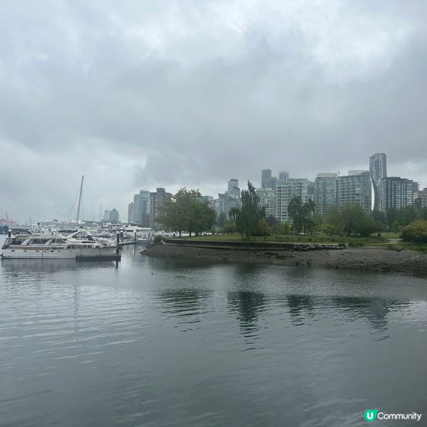 🇨🇦溫哥華史丹利公園🌳，散步好去處🚶‍♀️