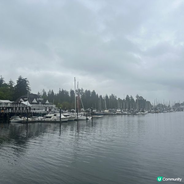🇨🇦溫哥華史丹利公園🌳，散步好去處🚶‍♀️