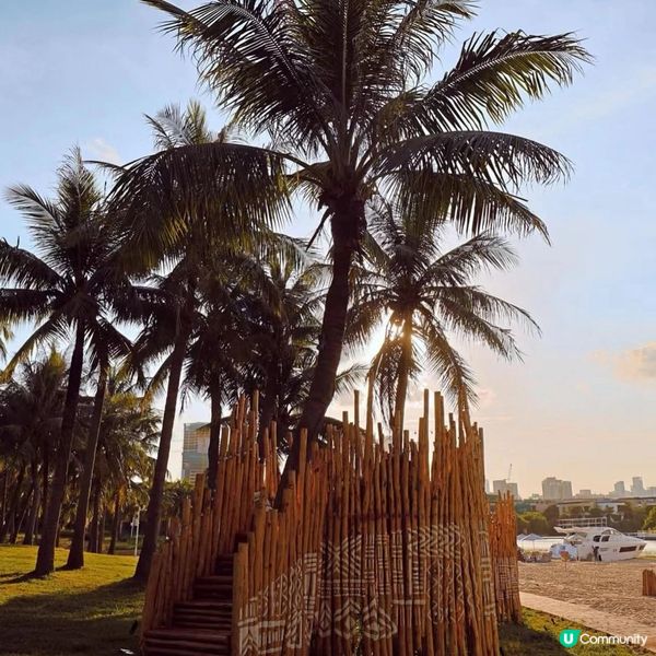 親子度假🌴深圳灣燃椰林！🏖️