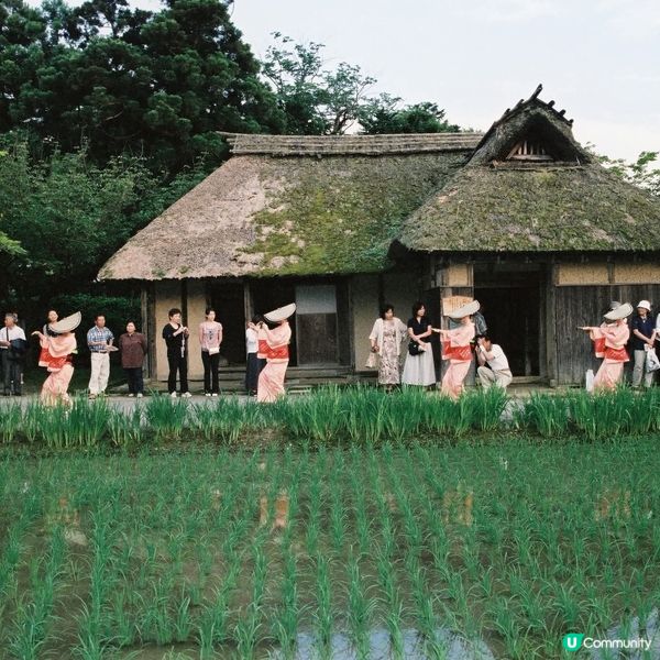 北方文化博物館🌿！庭園綠意盎然，穿越古今！🕰️