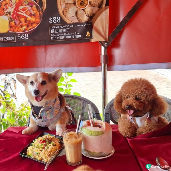 1.  南區長洲一日遊！🎬 食好西先開工😋 #拍劇 #美