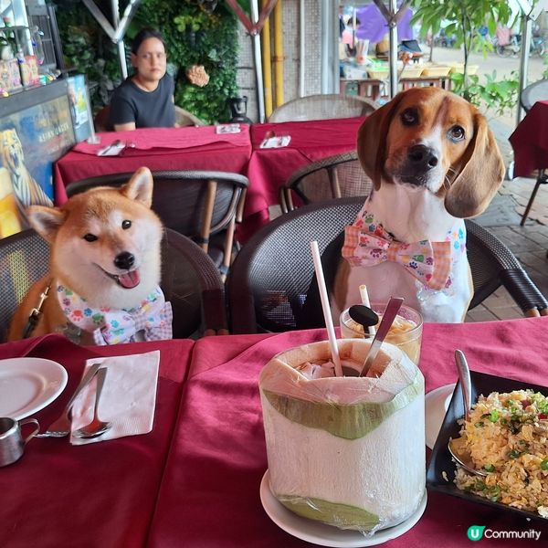 1.  南區長洲一日遊！🎬 食好西先開工😋 #拍劇 #美