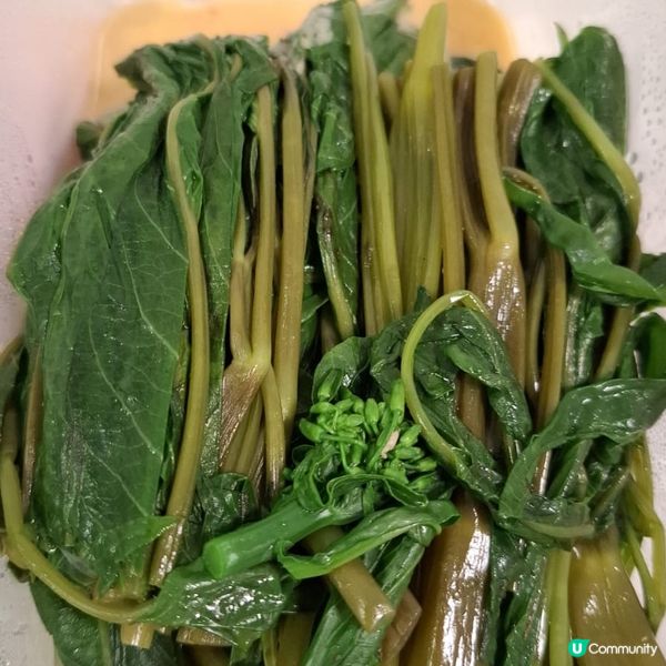 歡迎關注我嘅戶口､訂閱我嘅YouTube頻道, follow...