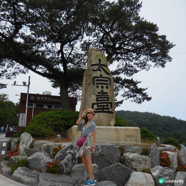 太宗台賞繡球花🌺+閒逛