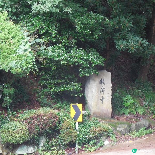 太宗台賞繡球花🌺+閒逛