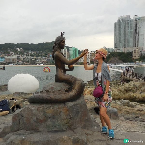 太宗台賞繡球花🌺+閒逛