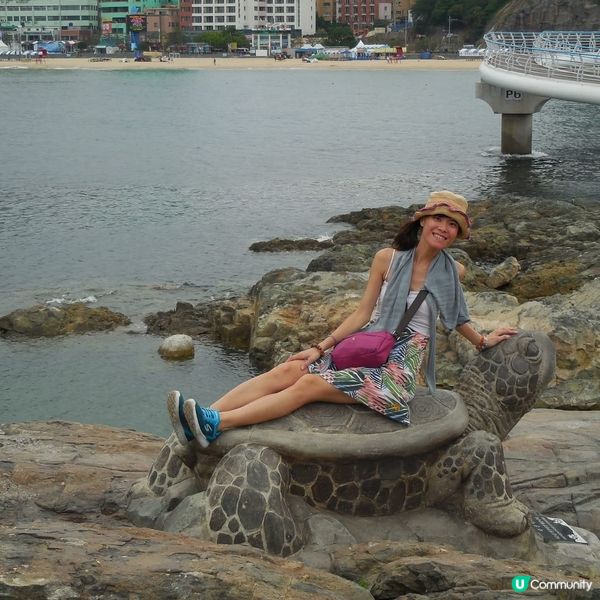 太宗台賞繡球花🌺+閒逛