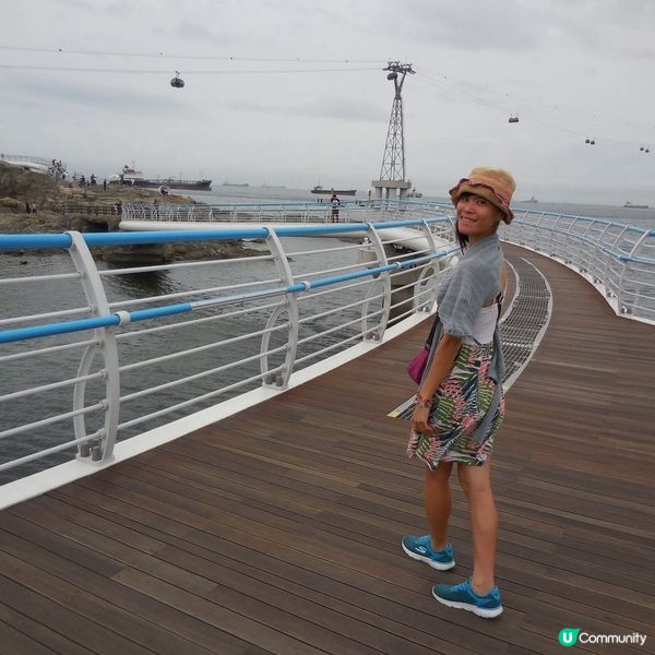 太宗台賞繡球花🌺+閒逛