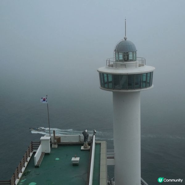 太宗台賞繡球花🌺+閒逛