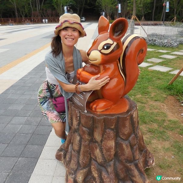 太宗台賞繡球花🌺+閒逛