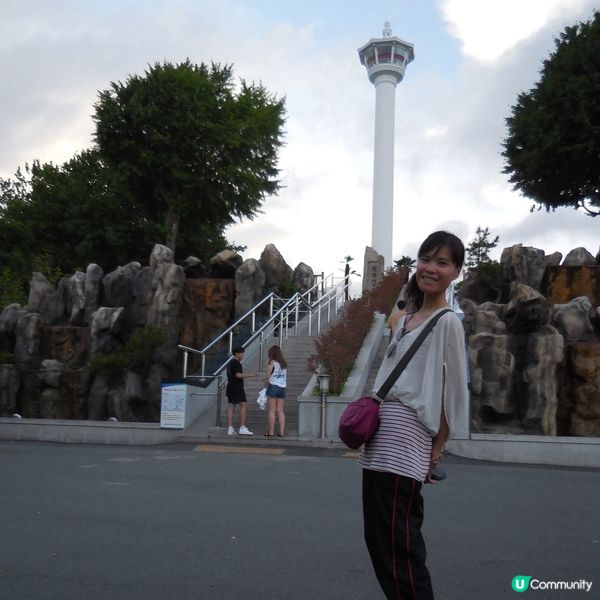 太宗台賞繡球花🌺+閒逛