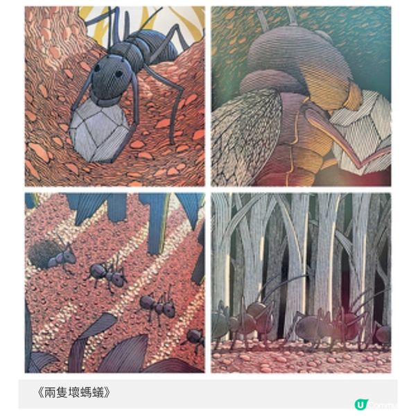 幻想與現實交融走進繪本的冒險世界