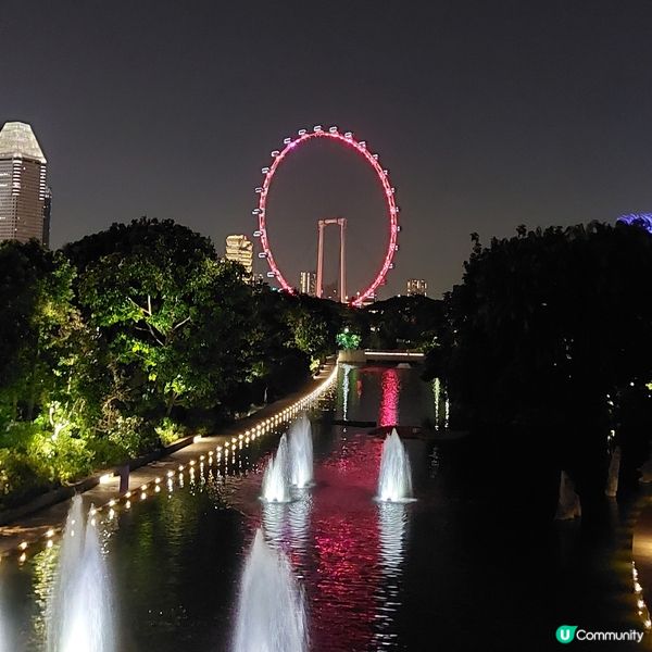 新加坡濱海灣公園靚靚花燈光展