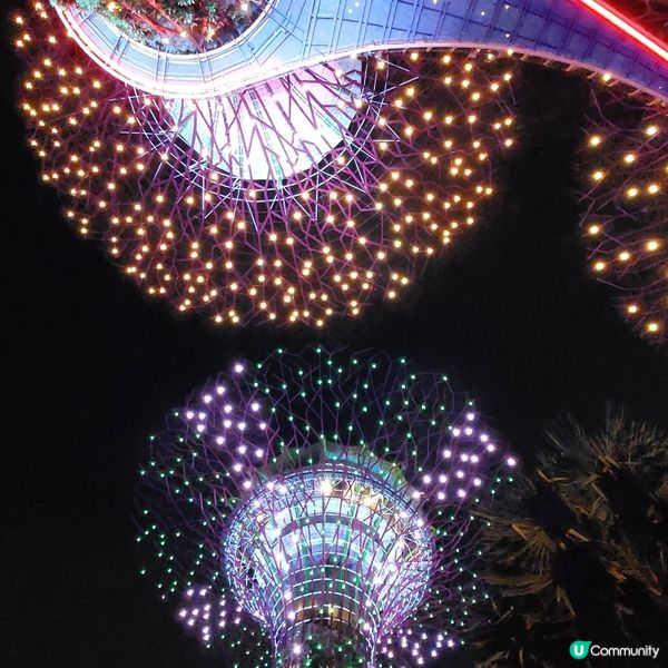 新加坡濱海灣公園靚靚花燈光展
