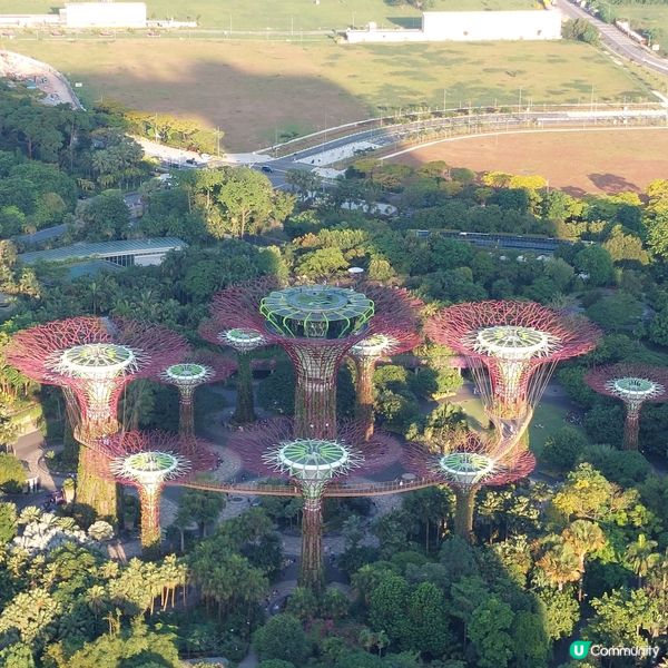 新加坡濱海灣公園靚靚花燈光展