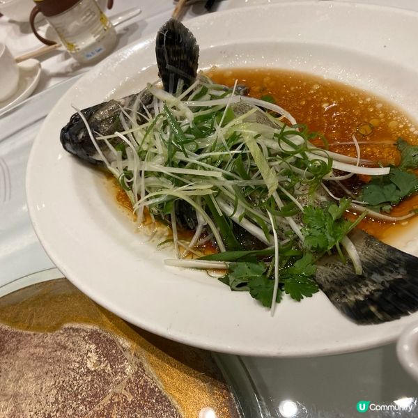 🤍鑽石山 。聘珍樓