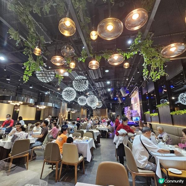 抵食龍蝦鮑魚套餐