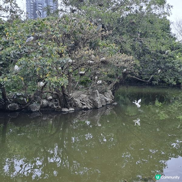 大安森林公園位於大安區，地處市中心，面積25.9293公頃，...