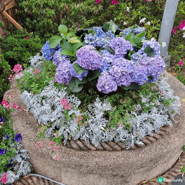 大安森林公園位於大安區，地處市中心，面積25.9293公頃，...