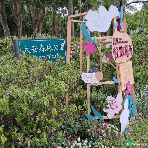 大安森林公園位於大安區，地處市中心，面積25.9293公頃，...