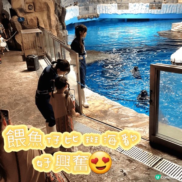 🌟💯海洋公園-大自研童學會之夏日歷險課程2025💡🆙️...