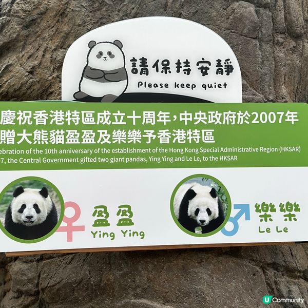 熊貓🐼
