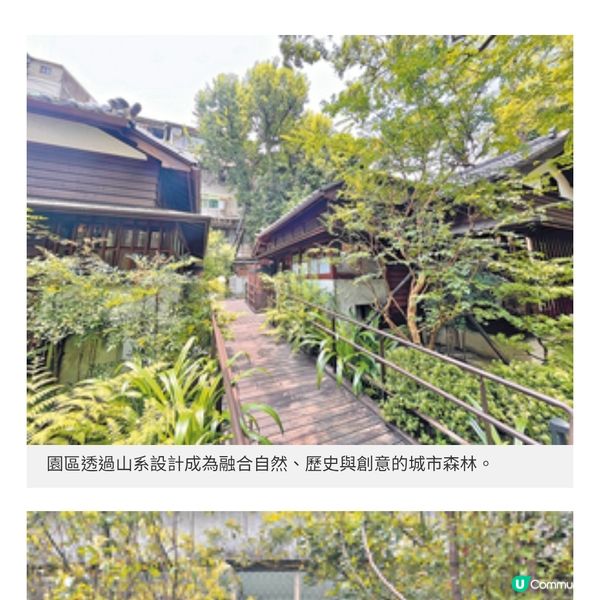 台北文青遊新熱點遊日系秘景園區 小巷隱世人龍拉麵店