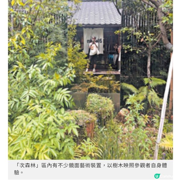 台北文青遊新熱點遊日系秘景園區 小巷隱世人龍拉麵店