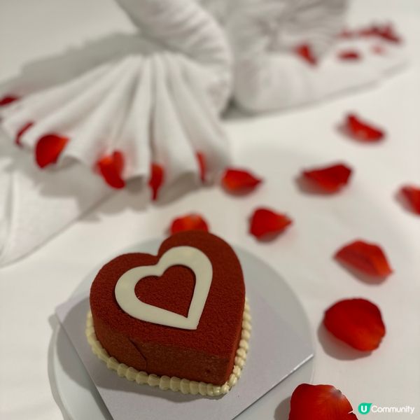 🇻🇳越南河內酒店大推！🤩 💯 