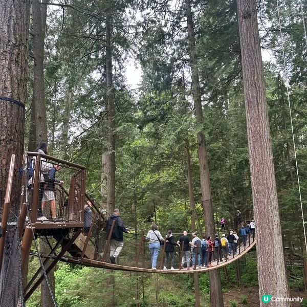 吊橋搖搖晃晃！溫哥華必去🤩！🌳