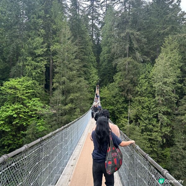 吊橋搖搖晃晃！溫哥華必去🤩！🌳