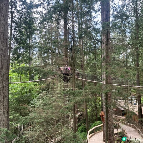 吊橋搖搖晃晃！溫哥華必去🤩！🌳