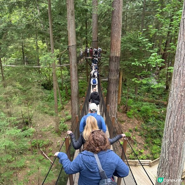 吊橋搖搖晃晃！溫哥華必去🤩！🌳